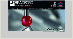 Desktop Screenshot of bradfordinstrument.com